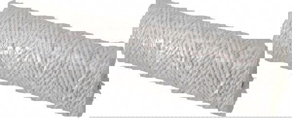 Plumbing Cartridge Filter: 2-1/2